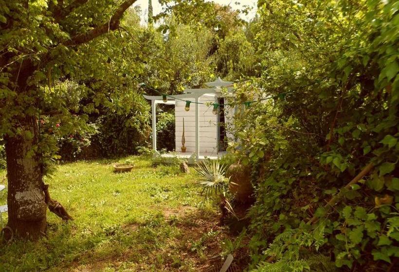 Bed and Breakfast Maison D Hôtes Le Calme