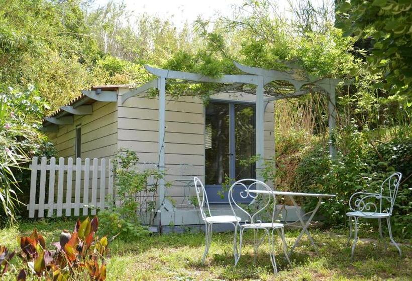 Bed and Breakfast Maison D Hôtes Le Calme