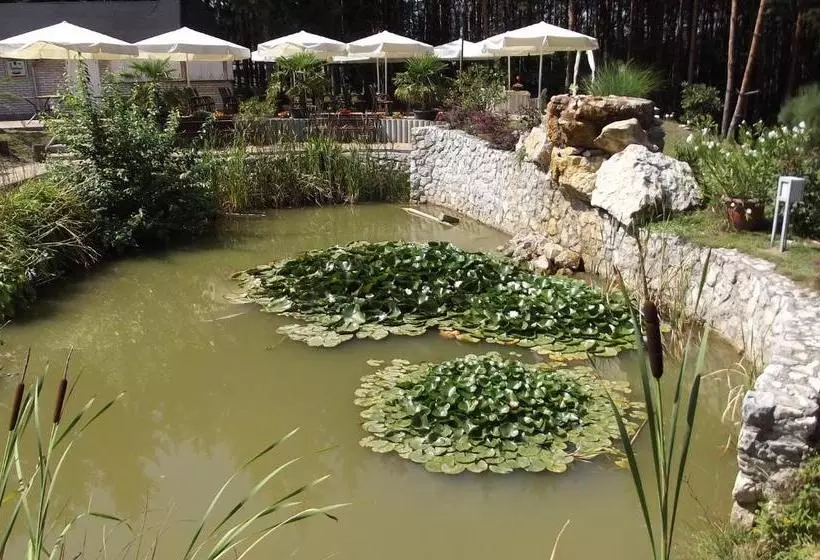 Hotelli Gosztola Gyöngye Az Erdő Szállodája