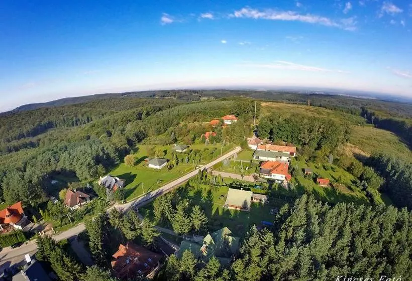 Hotelli Gosztola Gyöngye Az Erdő Szállodája