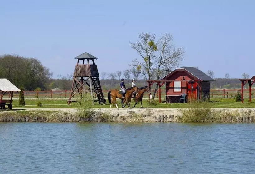 Hotelli Gosztola Gyöngye Az Erdő Szállodája