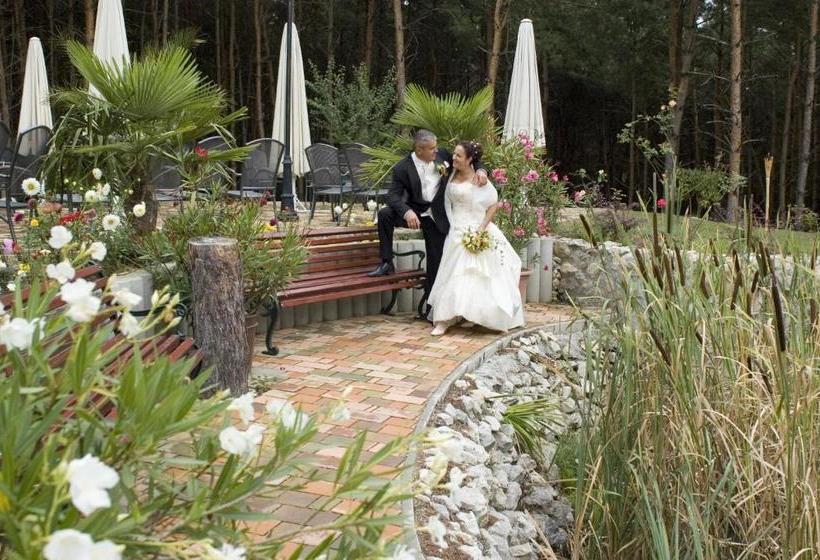 Отель Gosztola Gyöngye Az Erdő Szállodája