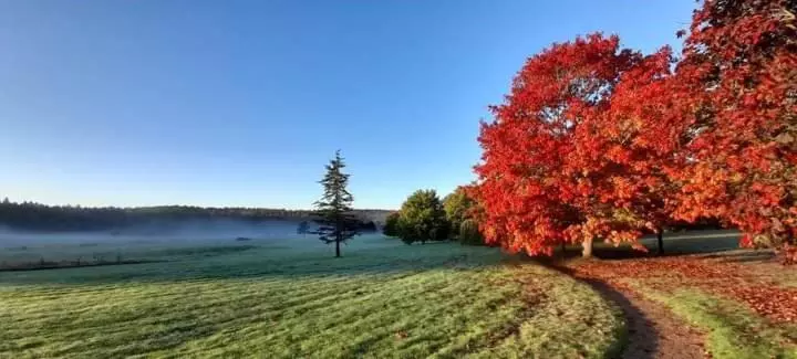 Hotelli Roffey Park Institute