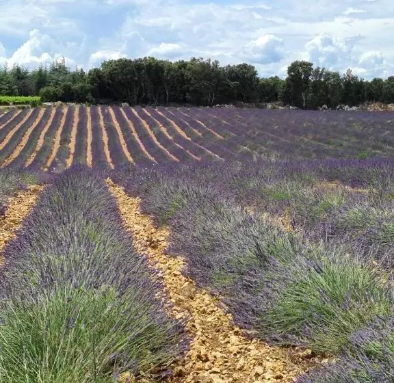 Majatalo Le Petit Chêne