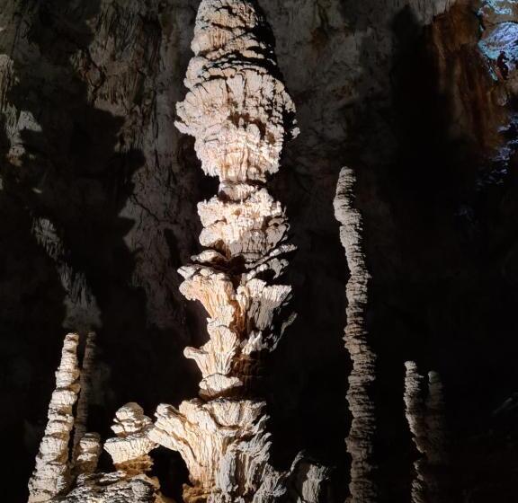 פנסיון Le Petit Chêne