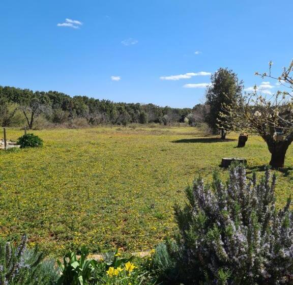 פנסיון Le Petit Chêne