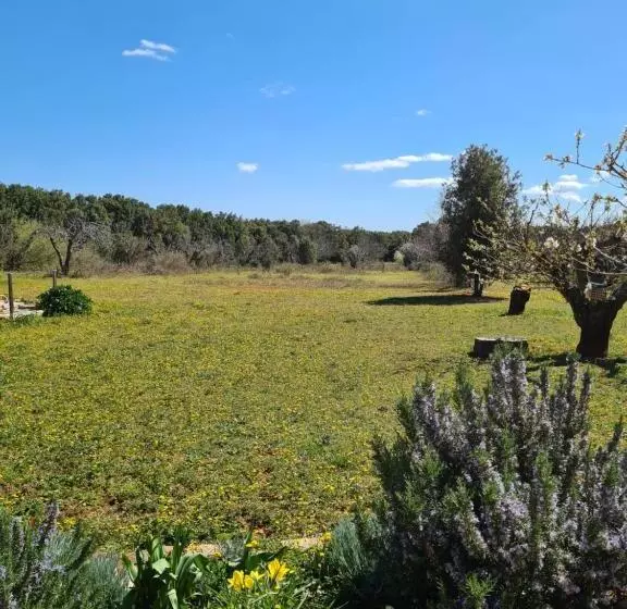 Majatalo Le Petit Chêne