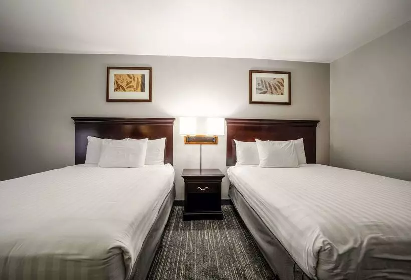 호텔 Country Inn & Suites By Radisson, Ontario At Ontario Mills, Ca