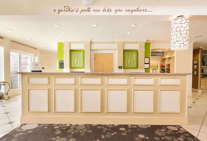 ホテル Hilton Garden Inn Atlanta Northpoint