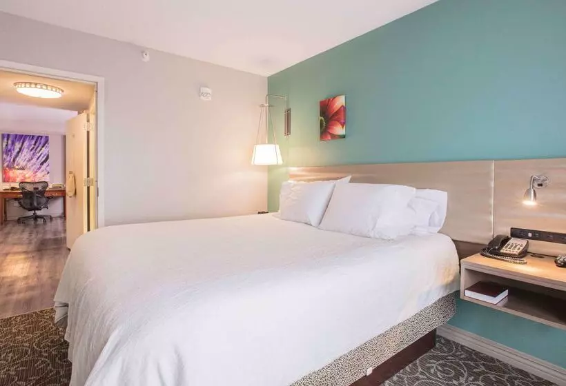 호텔 Hilton Garden Inn Des Moines/urbandale