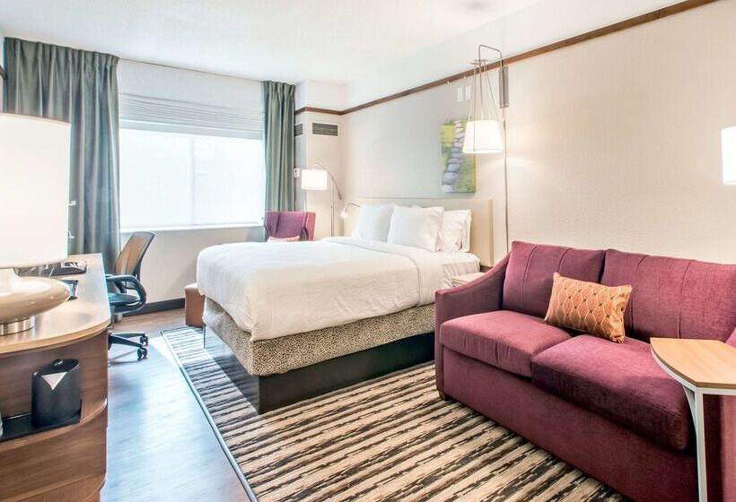 ホテル Hilton Garden Inn Minneapolis Airport Mall Of America