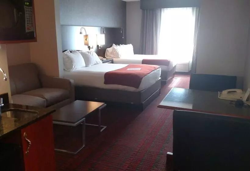 Holiday Inn Express Hotel & Suites Auburn, An Ihg