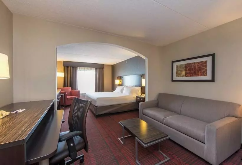 Holiday Inn Express Hotel & Suites Auburn, An Ihg