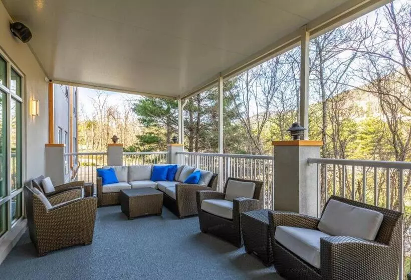 ホテル Holiday Inn Express & Suites Asheville Downtown, An Ihg