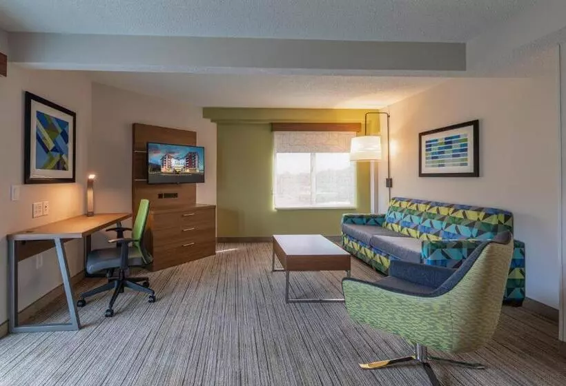 ホテル Holiday Inn Express & Suites Asheville Downtown, An Ihg