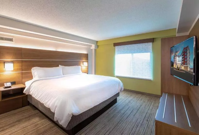 ホテル Holiday Inn Express & Suites Asheville Downtown, An Ihg