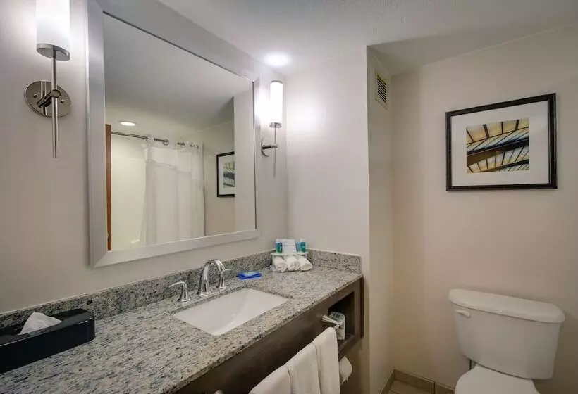 호텔 Holiday Inn Express & Suites Sylva / Dillsboro, An Ihg