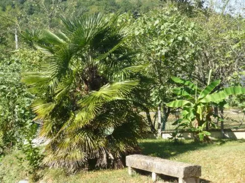 Aamiaismajoitus (B&B) Le Miramont