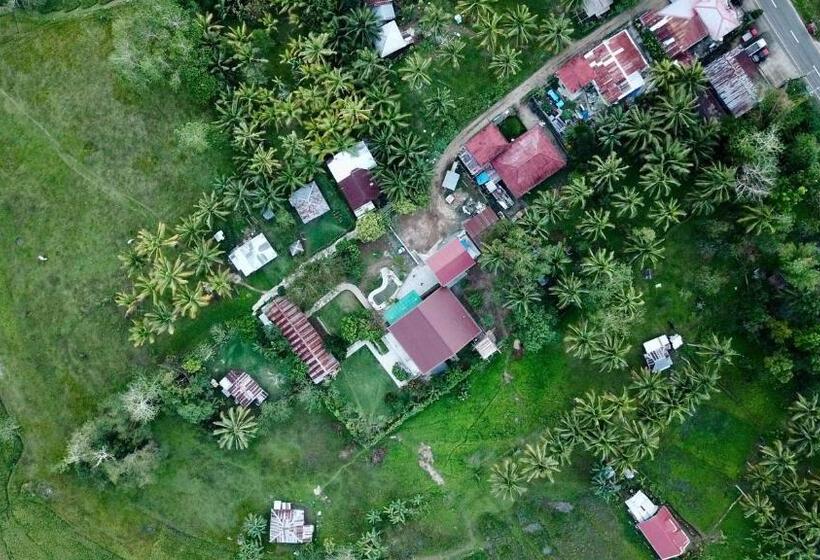 住宿加早餐  Villa Del Carmen Haven Bohol