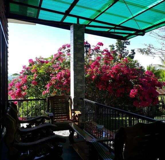 住宿加早餐  Villa Del Carmen Haven Bohol