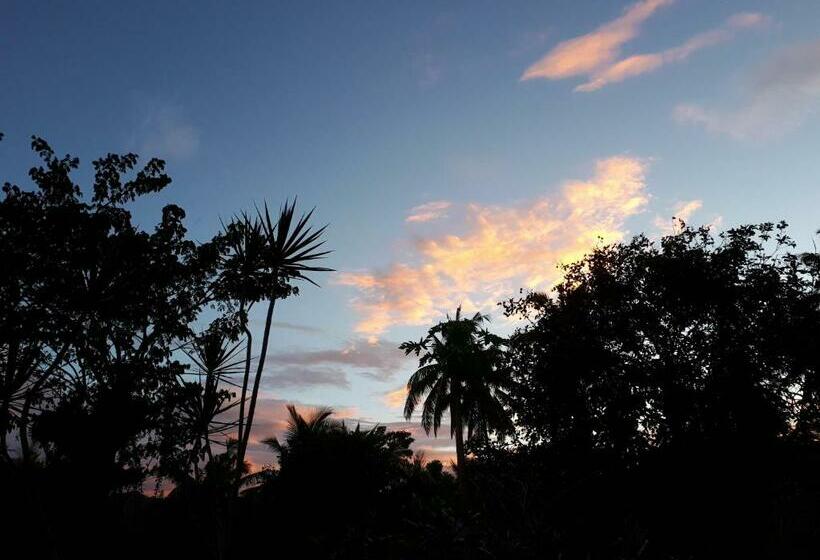 住宿加早餐  Villa Del Carmen Haven Bohol