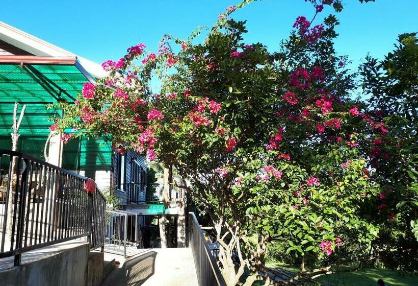 住宿加早餐  Villa Del Carmen Haven Bohol