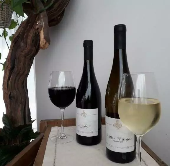 ホテル Agritur Maso Pomarolli