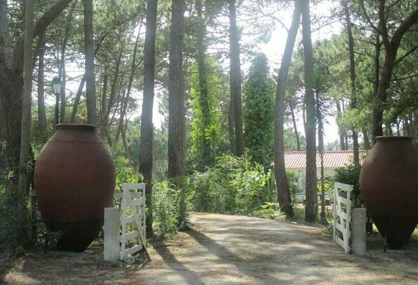 Отель Casa Do Páteo