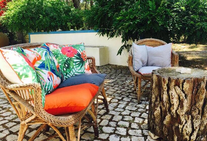 Отель Casa Do Páteo