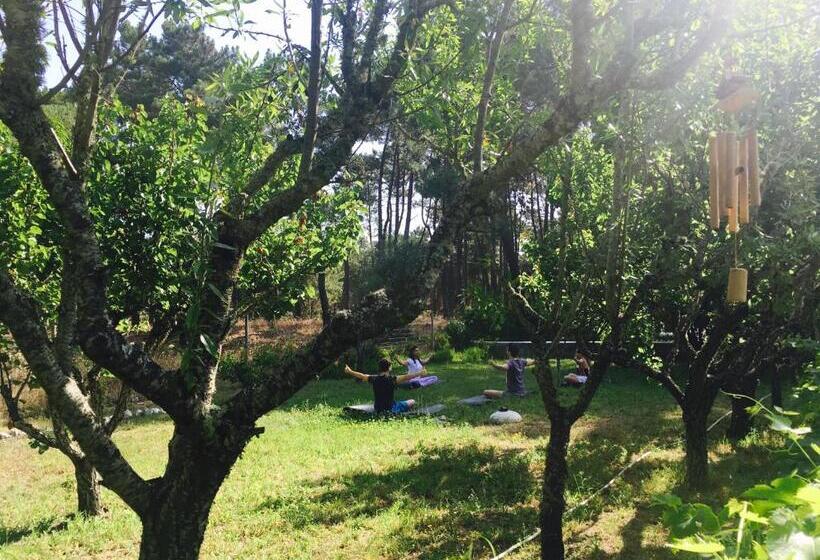 Отель Casa Do Páteo