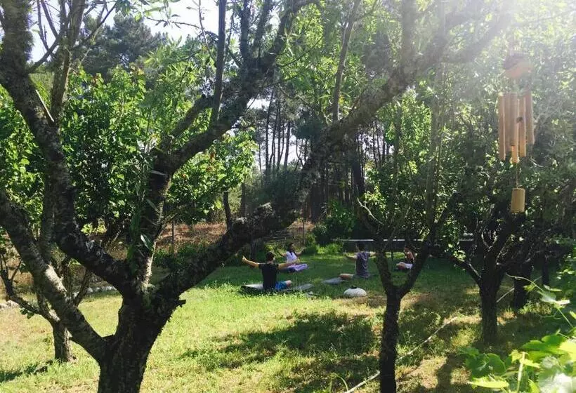 ホテル Casa Do Páteo