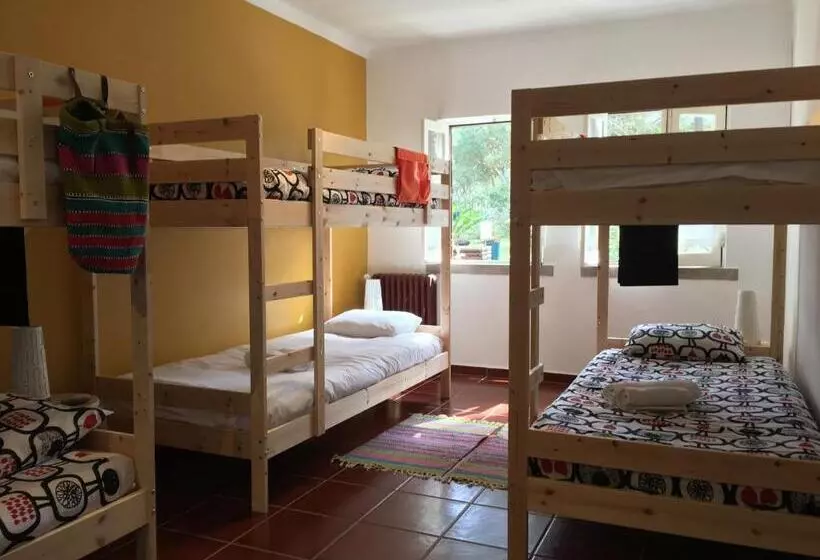 ホテル Casa Do Páteo