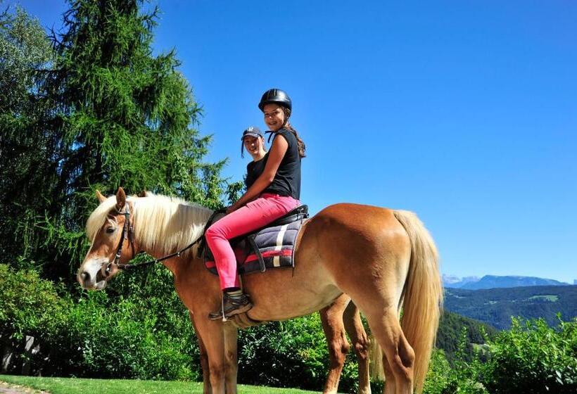 בית מלון כפרי König Laurin