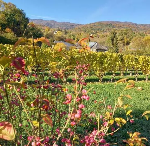 ホテル Le Saint Vincent