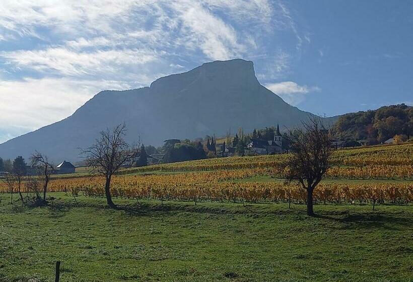 هتل Le Saint Vincent