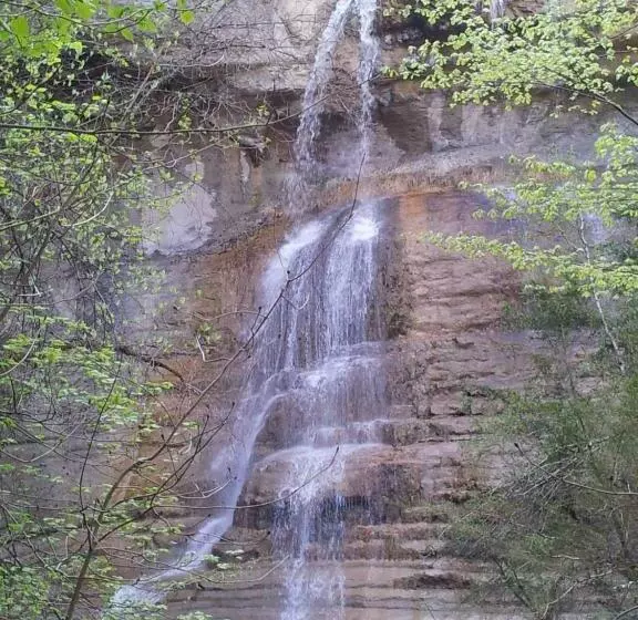 ホテル Le Saint Vincent