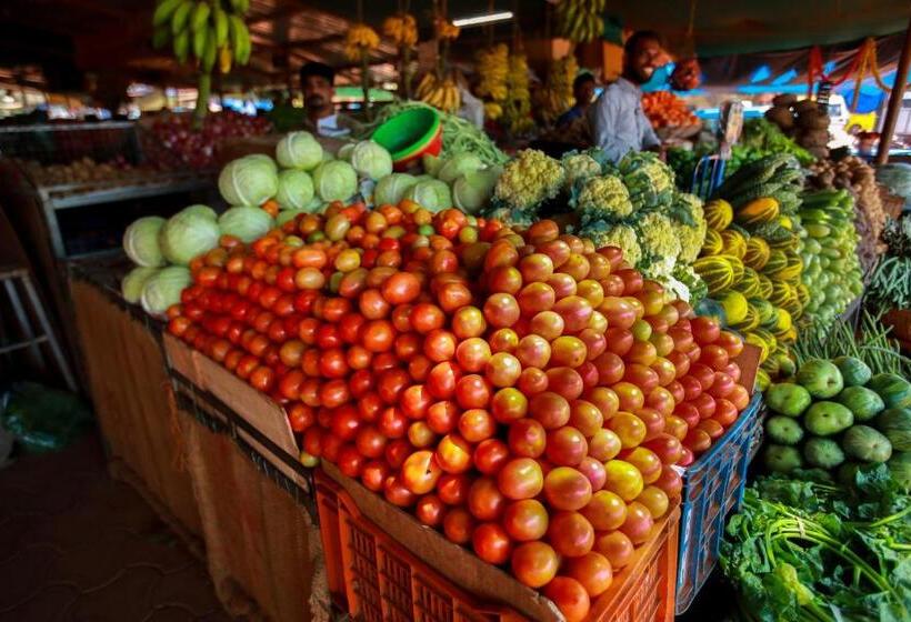 Отель The Estate Resort , Mangalore