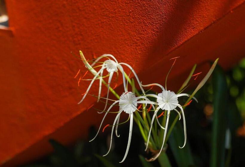 Отель The Estate Resort , Mangalore