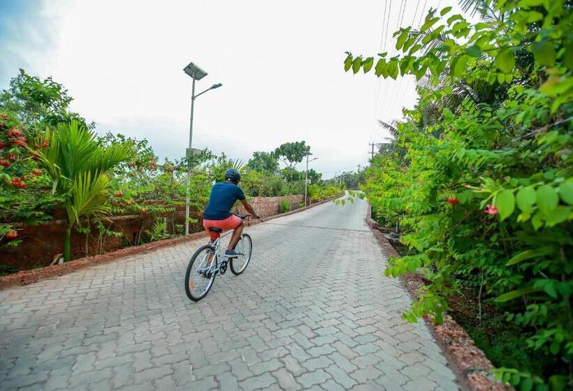 Отель The Estate Resort , Mangalore