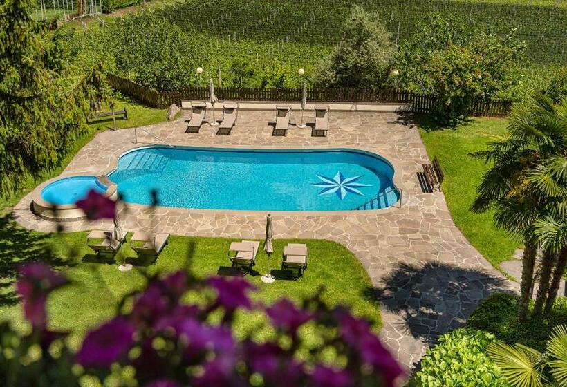 בית מלון כפרי Wilma