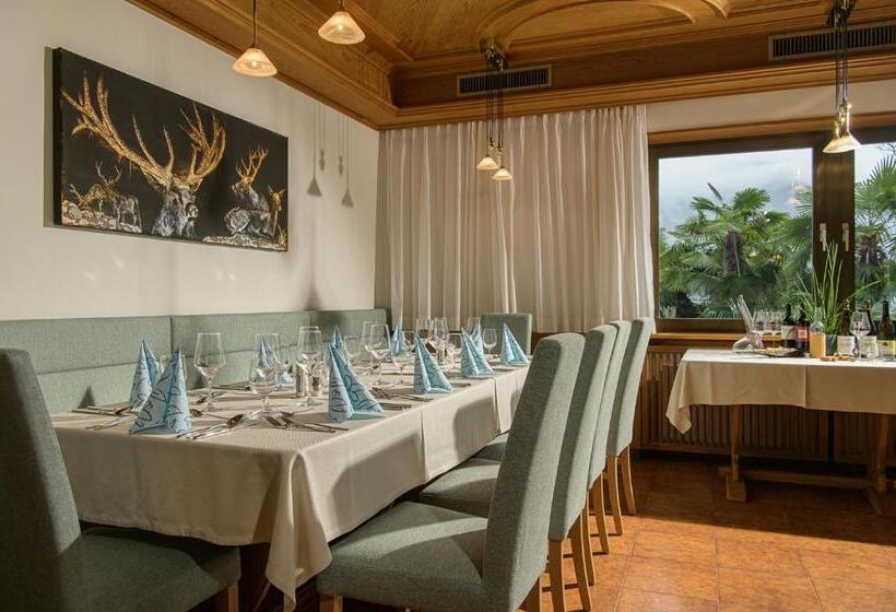 בית מלון כפרי Wilma