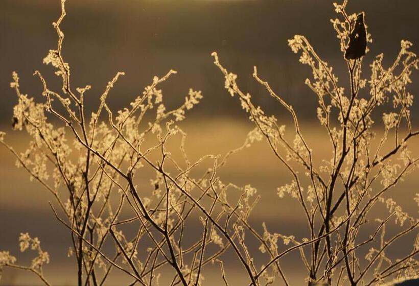 بنسيون Blueberryhouse音威子府村