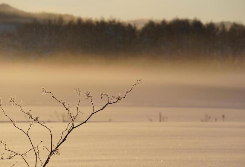 بنسيون Blueberryhouse音威子府村