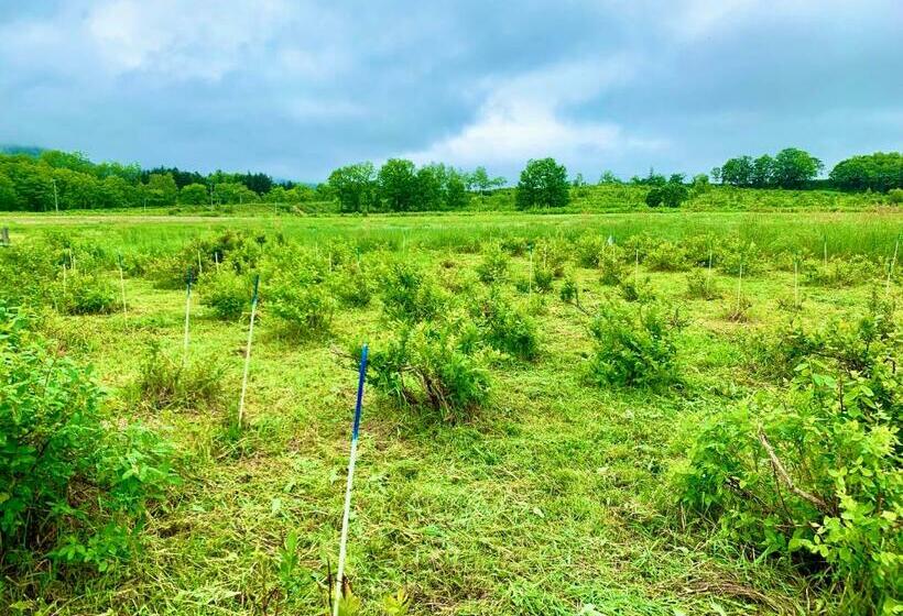 بنسيون Blueberryhouse音威子府村