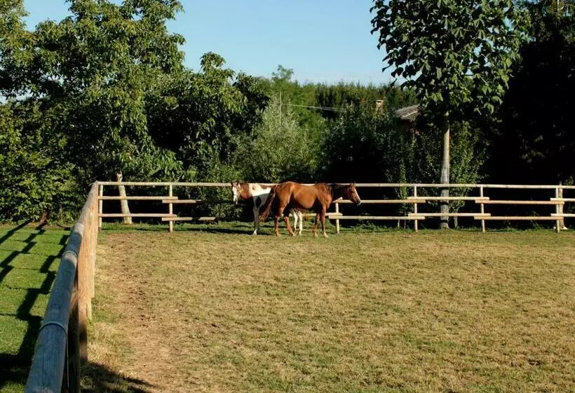 Residence Regina Dei Prati