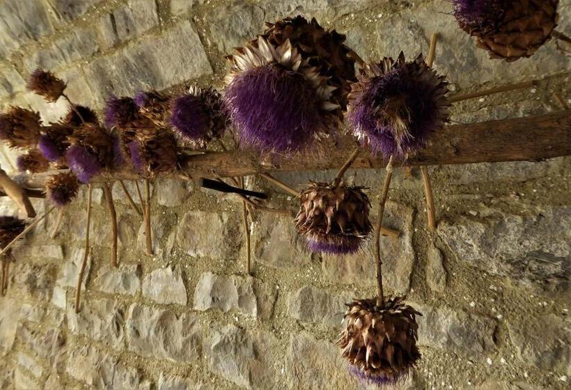 Bed and Breakfast Dos Arcos Usana