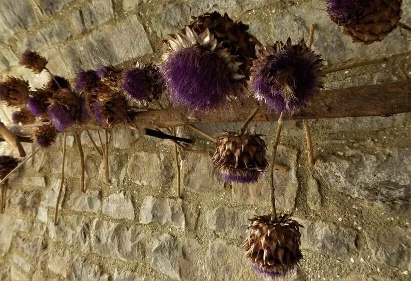 Aamiaismajoitus (B&B) Dos Arcos Usana