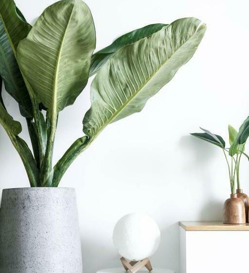 فندق Scape Living At Franklin