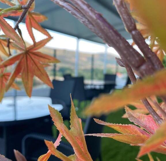 פנסיון Coraçãod´ouro