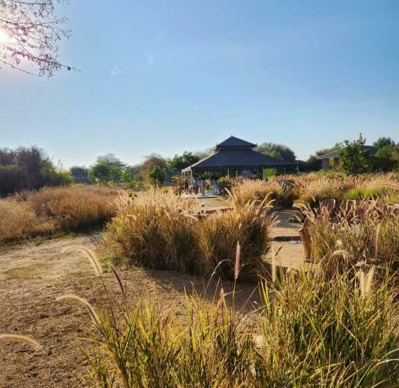 Resort Jawai Leopard Safari Lodge